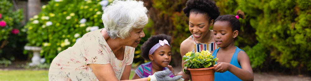 Elderly woman planting flowers with 3 children.